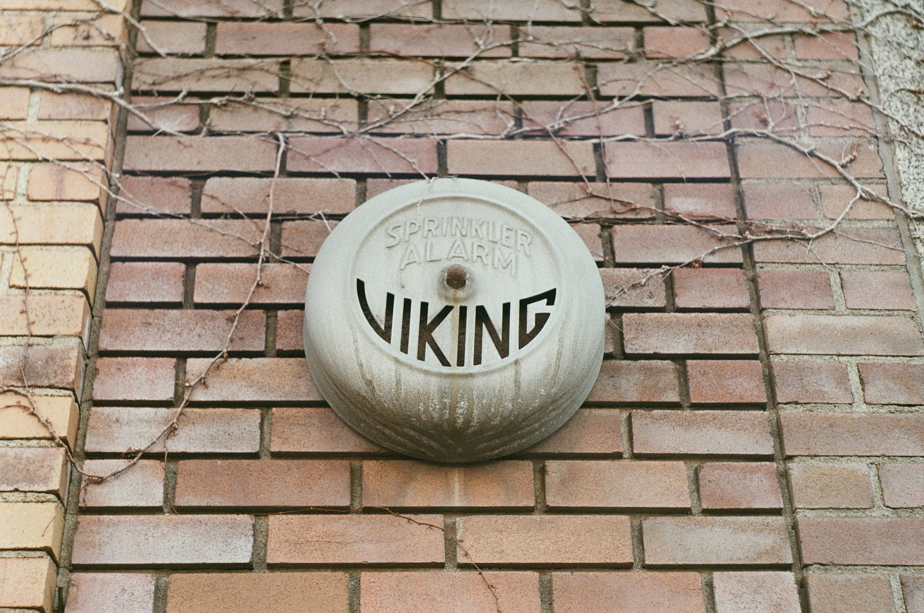 white and grey Viking device